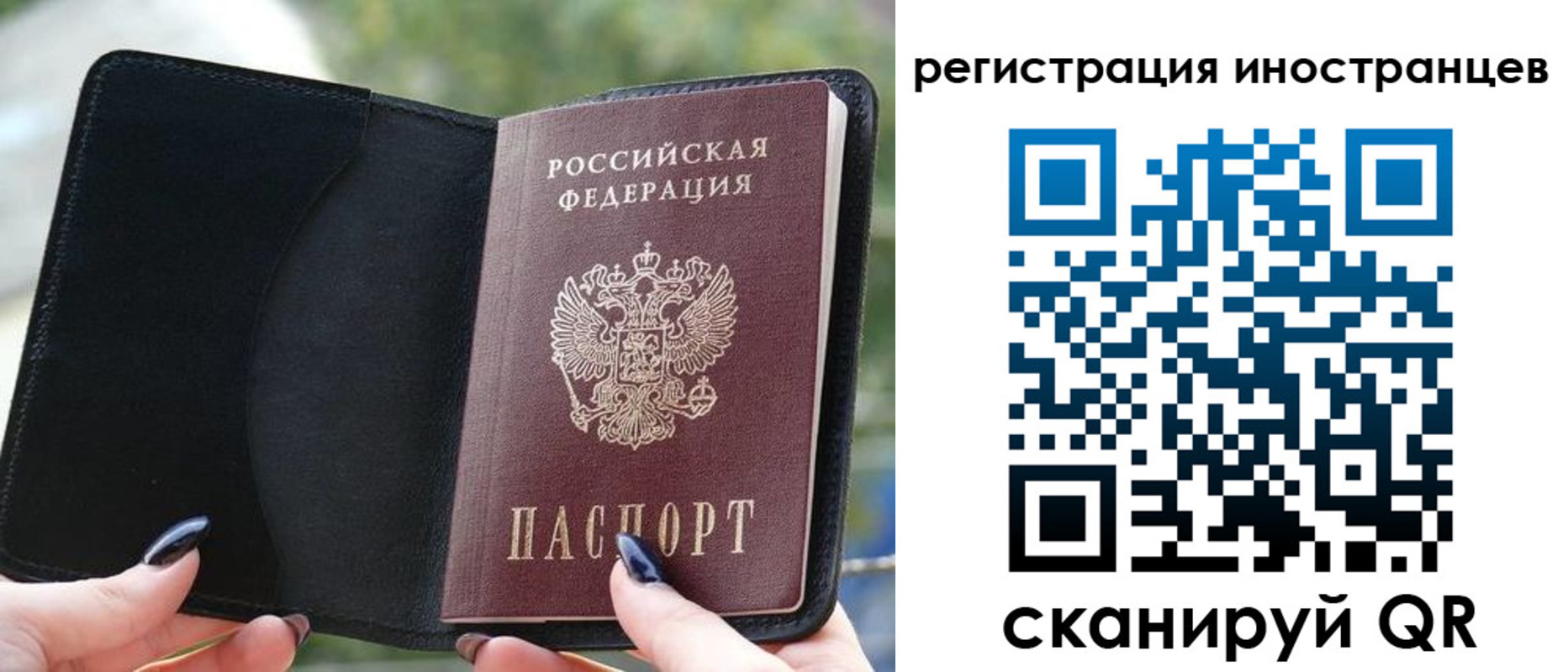 найти адрес прописки в Тайшете